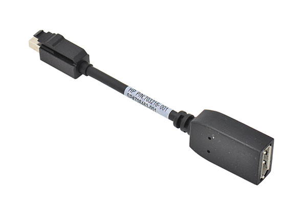 HP-新Mini-DP转大DP转换线703216-001-600